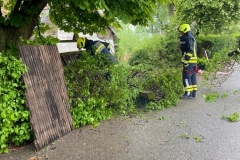 Einsatz_07.05.2022-1